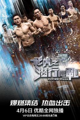 飞虎之潜行极战图片