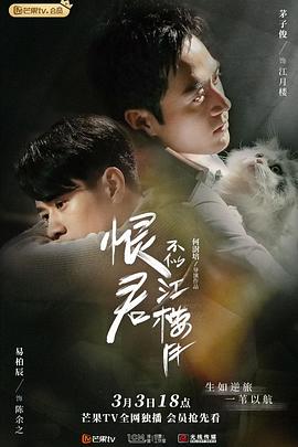恨君不似江楼月图片
