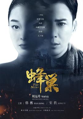 蜂巢图片