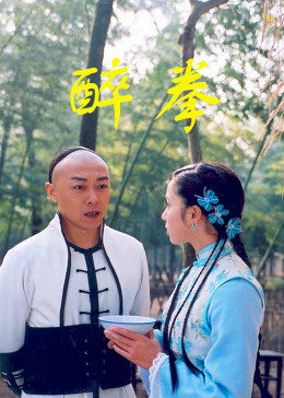 醉拳图片