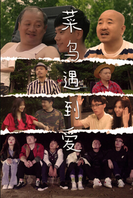 菜鸟遇到爱图片 菜鸟遇到爱图片