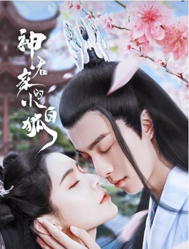 神君家的小白狐图片