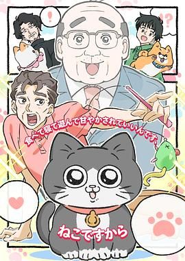 转生成猫的大叔图片