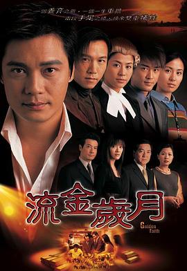 流金岁月2002国语图片